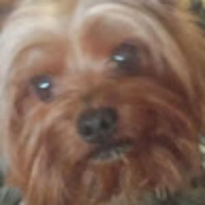 Meet your Posher, Tati